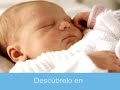 En el vientre materno - 1/11