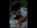 Birdcage Veil - Kiesha & Robert - Wedding Veil Birdcage Veil - Kiesha & Robert - Wedding Veil