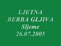Ljetna berba vrganja,Sljeme 26.07.2005(Boletus Hunt)