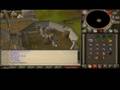 videos de RuneScape 