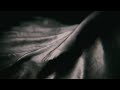 La pelle e la tua pelle http://www.youtube.com/watch?v=H_OHymsWECw&feature=player_embedded