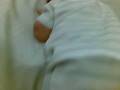 Austin is sleeping on his tummy.mp4
