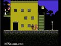 www.nesguide.com