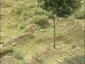 2900 Bodies Found in Kashmir Mass Graves