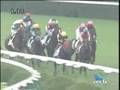 競馬　アンライバルド　新馬戦