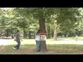 Rocketboom Casual Friday: Free Hug