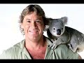 steve irwin R.I.P
