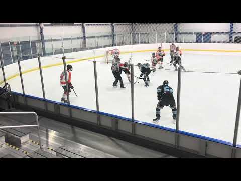 Kane 2023-24 Season Highlights