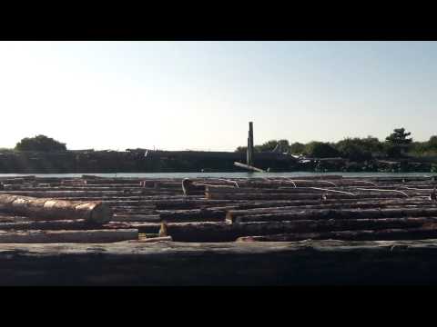 how to enable jetty logging