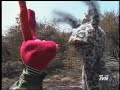 incendios forestales