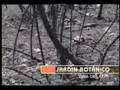 incendios forestales