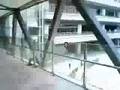 稲光動画5