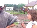 galop-na-kroacie.html