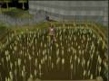 My Runescape pure account!!!!