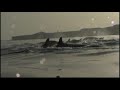 Puerto Piramides y las orcas /  NV produccion Independiente.