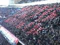 coreografia milan-chievo (LIVE)