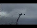 Danish turbine failure Danish turbine failure