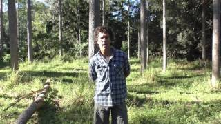 Education : a way to promote farm forestry