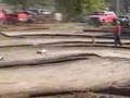 2006 Mugen Seiki Manufacturers Race  - Gas Truck