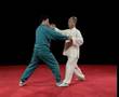 Chen Taijiquan Applications (Ma Hong)- Part 2