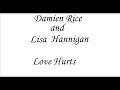 Love Hurts - Damien Rice - 9 Crimes