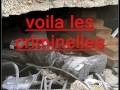 videos de BUSH -USA -GAZA 2009