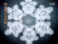 【聖賢教育改變命運】第1張DVD- 09此生必看的科學實驗