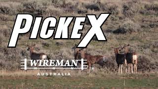 The Wireman - PickeX