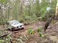 Off Roading - Fourth section of Ellis Track, Wesburn