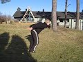 Team Clipshow Sampler