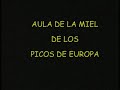 Aula de la Miel