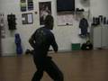 videos de Chen Style Tai Chi Chuan - Old Frame 2nd Routine