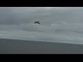 Wildlife In the Outer Hebrides