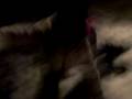 videos de neve 070