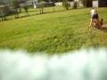 videos de new of me and ashlea 116.AVI