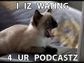 vERY fUNNY cATS 6 vERY fUNNY cATS 6