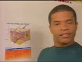 Novo Telecurso - Ensino M�dio - Biologia - Aula 04 (1 de 2)