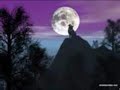 Happy Halloween: Spooky Halloween Pumpkin Animation