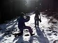 Metedura de pata