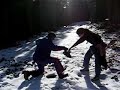 Metedura de pata