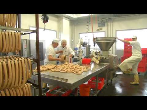 Fleischer -