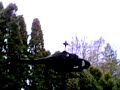 Esky LamaV4 / fuselage Jet Ranger (military) by M.Manrow Esky LamaV4 / fuselage Jet Ranger (military) by M.Manrow