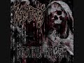 NECROPSY - PREACHING INSANITY