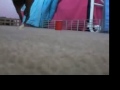 Breyer Fun - Barrel Racing & Jumping