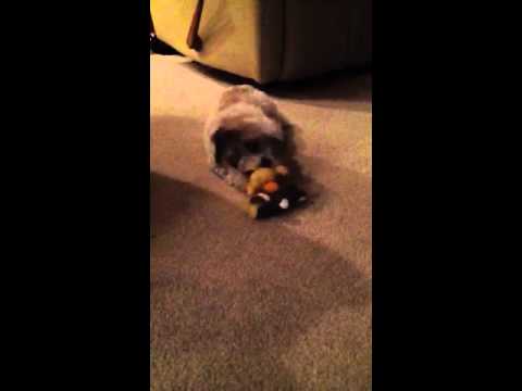 duke gi joe duke gi joe