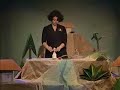 עיבוד לסיפור אודות ציפור קסומה המביאה את הגשם בשירתה אך נעלמת כשאנים מפסיקים להאמין בכוחה. הצגה המשלבת אוריגמי-קיפולי נייר בעלילת הסיפור. IN A UNIQUE THEATRICAL LANGUAGE, WHICH COMBINES THE ART OR ORIGAMI TOGETHER WITH THE ART OF STORY-TELLING.