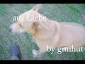 aus Liebe