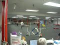 Basset Hound Novice Agility