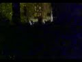 Sunn O ))) 18/3-07, Bergen Cathedral (Norway)