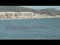 Portopino - Cetaceo al largo delle Dune di sabbia